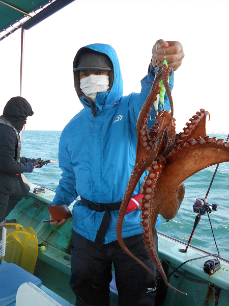 年4月の釣果 明石の釣船 遊漁船 タコ釣り予約 名田屋乗合船